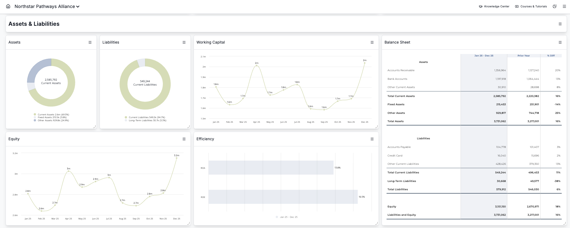 Northstar Pathways Alliance assets and liabilities dashboard with balance sheet for nonprofit board financial reports